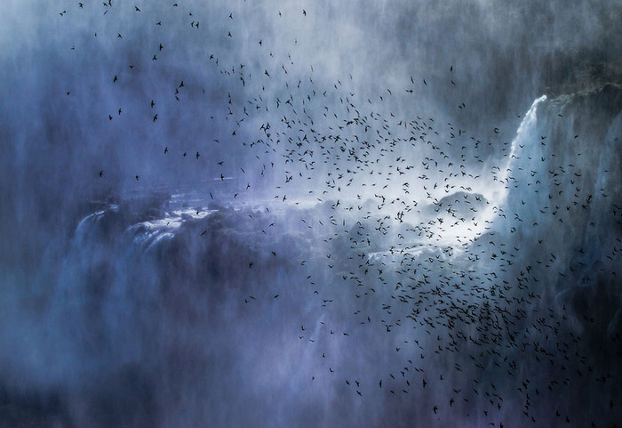 Đàn chim yến bay qua thác nước hùng vĩ Iguazu tại Misiones, Argentina. Đàn chim yến bay qua thác nước hùng vĩ Iguazu tại Misiones, Argentina.