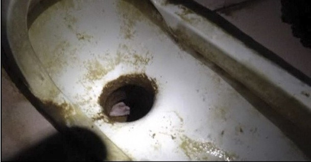 Hình ảnh em bé bị kẹt trong đường ống xả toilet trước khi được giải cứu. Hình ảnh em bé bị kẹt trong đường ống xả toilet trước khi được giải cứu.