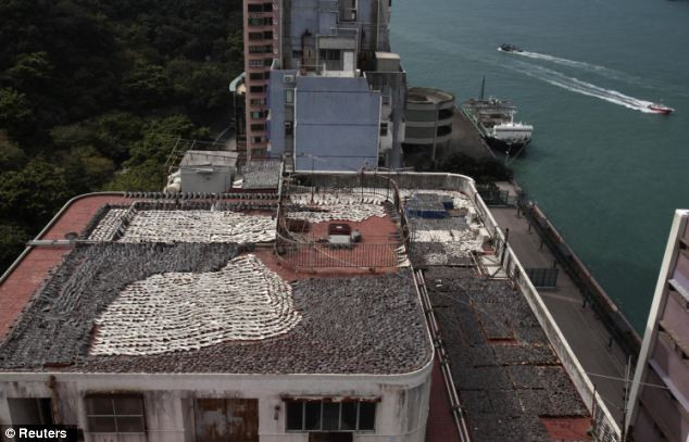 Các quốc gia có luật chống buôn bán vây cá mập gồm Mỹ, Canada, Brazil, Namibia, Nam Phi và Liên minh châu Âu, trong khi Hawaii cấm bán cả món súp vây cá mập.