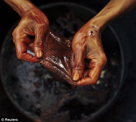 Da rắn được nhuộm thủ công.