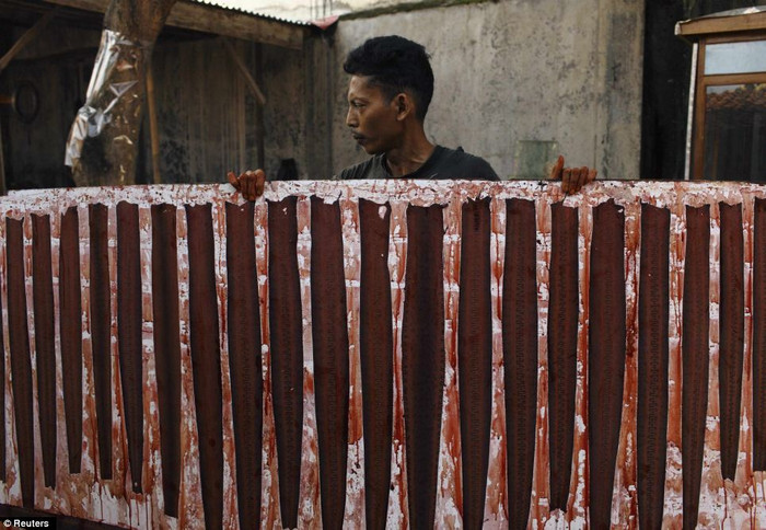 Một công nhân phơi da rắn sau khi nhuộm.