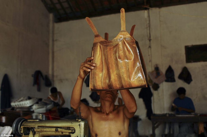 Những chiếc túi sau khi may xong sẽ được đóng gói và vận chuyển đến các cửa hàng tiêu thụ sản phẩm.