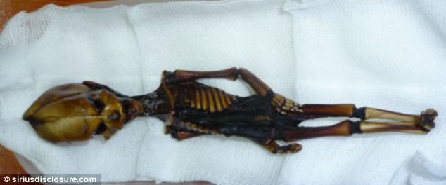 Ata được phát hiện 10 năm trước tại Chile.