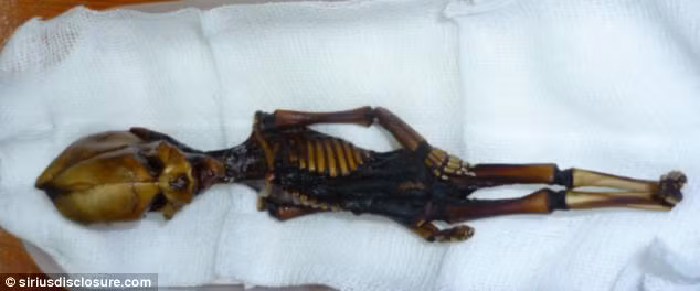 Ata được phát hiện 10 năm trước tại Chile.