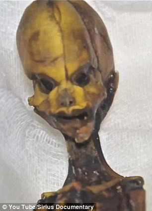 Các nhà khoa học khẳng định đó là hài cốt của một bé trai 6-8 tuổi.