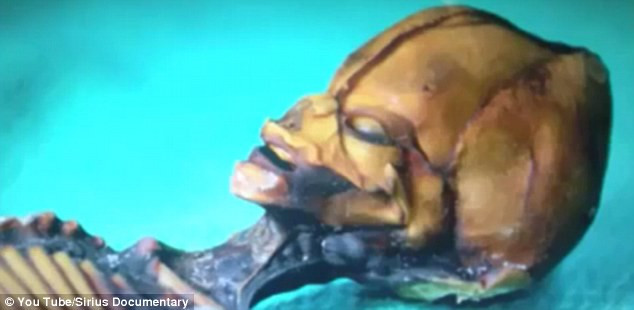 Nó sở hữu hộp sọ khá lớn khiến nhiều người lầm tưởng rằng đó là phần còn lại của một sự sống ngoài Trái Đất.