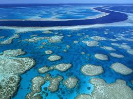 Vỉa san hô khổng lồ (Great Barrier Reef) Vỉa san hô khổng lồ (Great Barrier Reef)