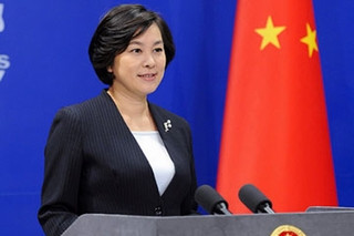 Hoa Xuân Oánh. Hoa Xuân Oánh.