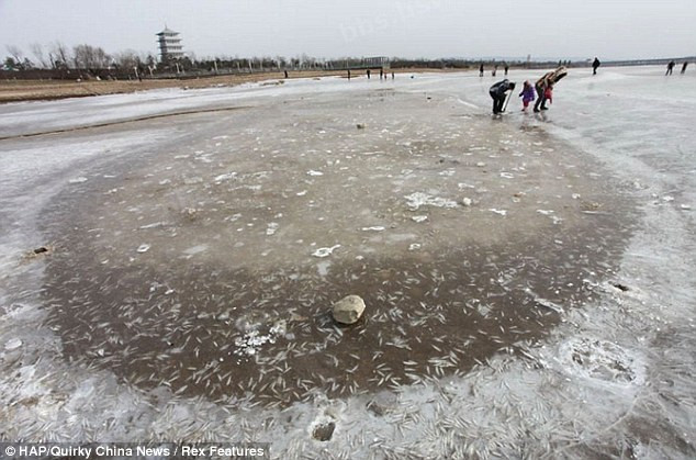 Dòng sông trở nên khô cạn vì nước bị hút phục vụ công trình xây dựng tàu điện ngầm cả tháng nay. Dòng sông trở nên khô cạn vì nước bị hút phục vụ công trình xây dựng tàu điện ngầm cả tháng nay.