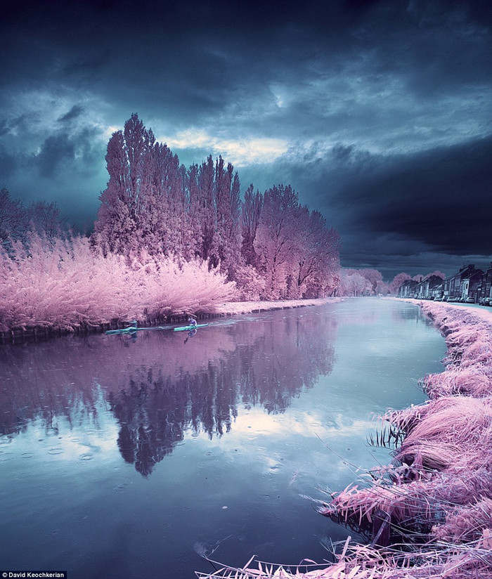 Cây cối chuyển thành màu hồng và những chiếc thuyền biến thành màu xanh. Cây cối chuyển thành màu hồng và những chiếc thuyền biến thành màu xanh.