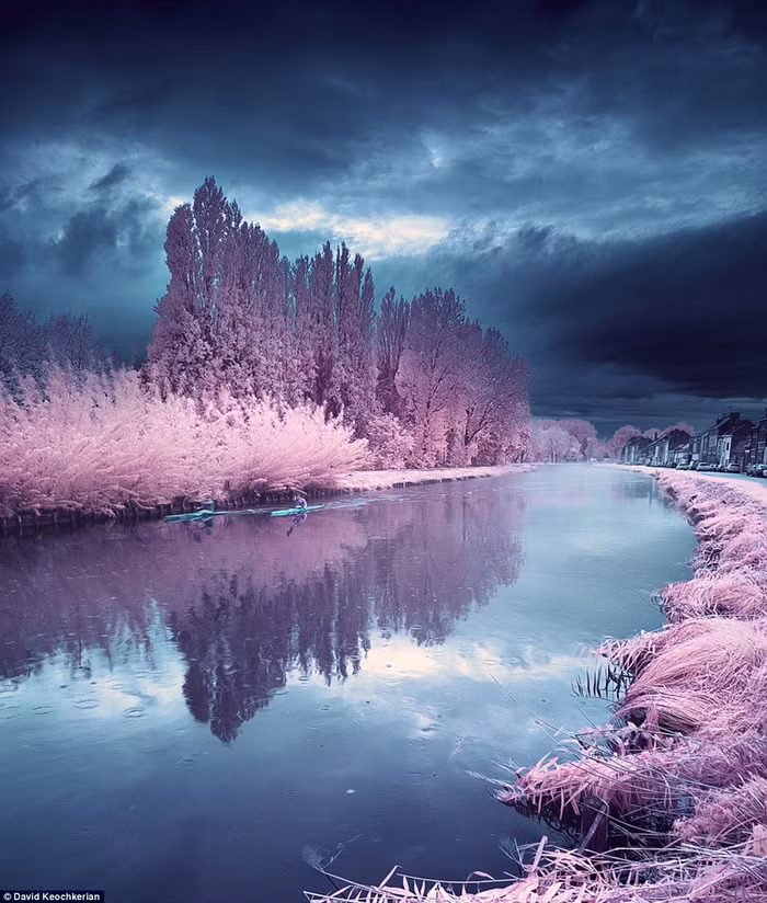 Cây cối chuyển thành màu hồng và những chiếc thuyền biến thành màu xanh.