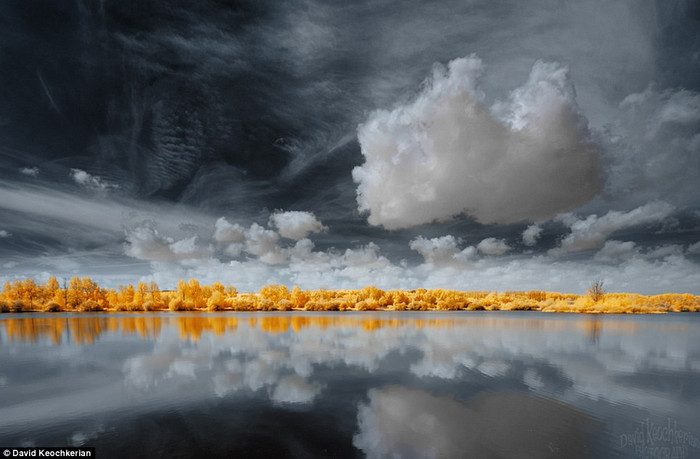 Những bụi cây nằm dọc theo một con sông ở Saint-Sauveur mang màu vàng như cổ tích. Những bụi cây nằm dọc theo một con sông ở Saint-Sauveur mang màu vàng như cổ tích.