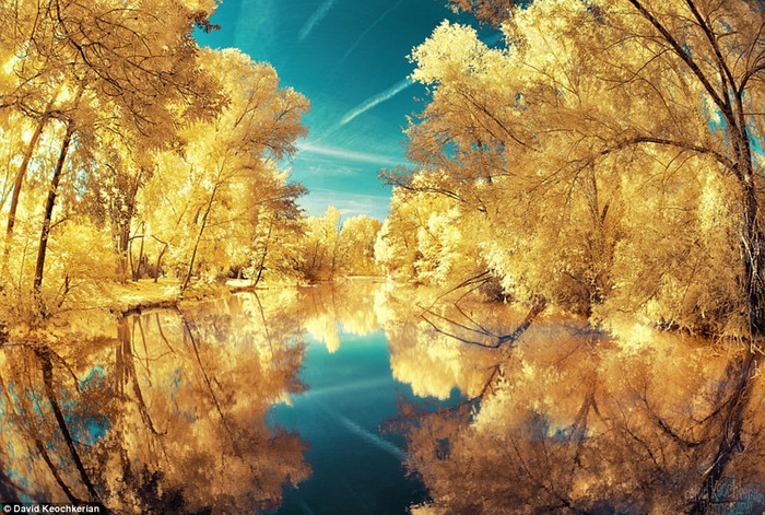 Hai hàng cây bên sông hiện lên vàng rực trong ánh nắng. Hai hàng cây bên sông hiện lên vàng rực trong ánh nắng.