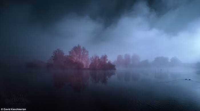 Những bụi cây màu hồng siêu thực ở Fouilloy.