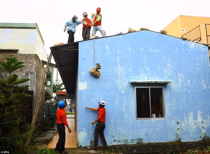 Các tình nguyện viên hỗ trợ người dân phòng chống bão.