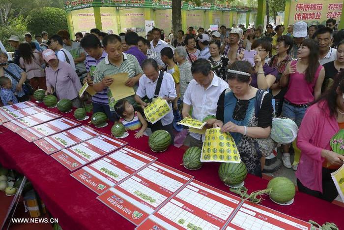 Người dân Trung Quốc tham gia cuộc thi dưa hấu năm nay. Người dân Trung Quốc tham gia cuộc thi dưa hấu năm nay.