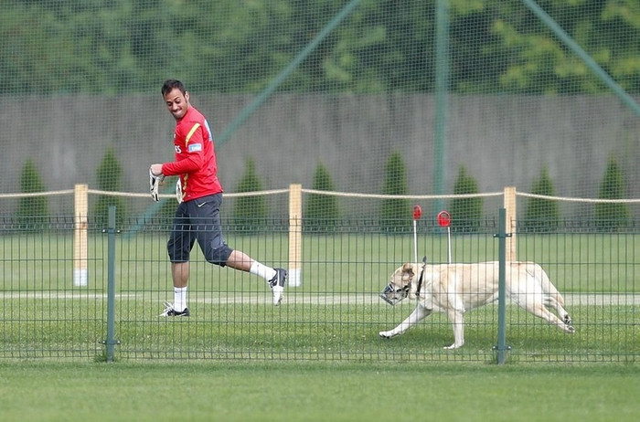 Chạy thi cùng chó để tăng cường thể lực. Chạy thi cùng chó để tăng cường thể lực.