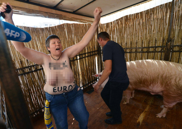 Một phụ nữ trung tuổi được cho là thành viên của nhóm Femen đã bất ngờ lột áo và nhảy vào chuồng của chú lợn Funtik tiên tri ở Kiev, Ukraina, với biểu ngữ phản đối Euro 2012