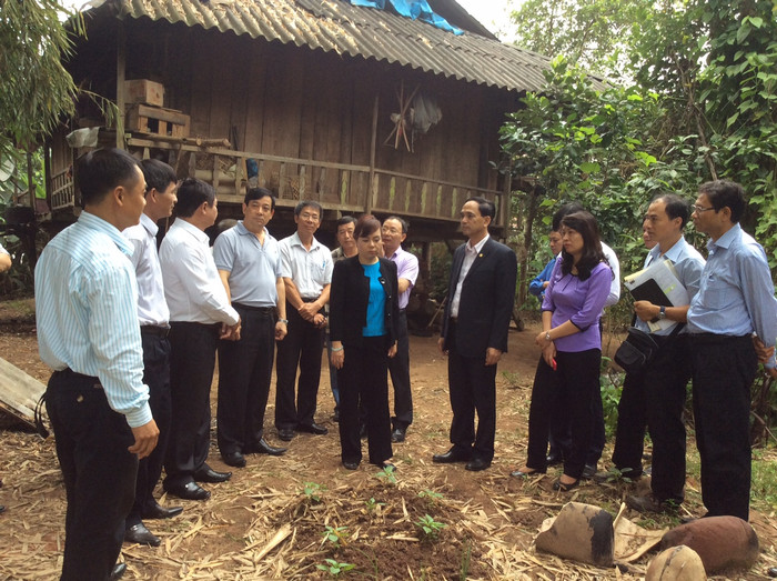 Trước gia đình đi vệ sinh sau nhà, sau đắp đất lên trồng rau ăn Trước gia đình đi vệ sinh sau nhà, sau đắp đất lên trồng rau ăn