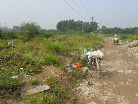 Những đống phế thải cũ bây giờ cỏ đã mọc um tùm Những đống phế thải cũ bây giờ cỏ đã mọc um tùm