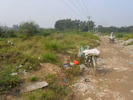 Những đống phế thải cũ bây giờ cỏ đã mọc um tùm