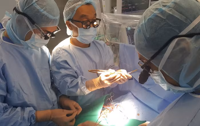 Với quyết tâm đạt đẳng cấp quốc tế, hệ thống y tế Vinmec đang triển khai mở rộng hợp tác quốc tế, nâng cao năng lực chuyên môn trong các lĩnh vực mũi nhọn như ung thu, ghép tạng, y học tái tạo. Với quyết tâm đạt đẳng cấp quốc tế, hệ thống y tế Vinmec đang triển khai mở rộng hợp tác quốc tế, nâng cao năng lực chuyên môn trong các lĩnh vực mũi nhọn như ung thu, ghép tạng, y học tái tạo.