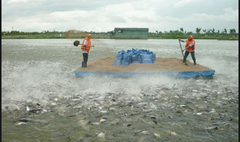 Ảnh minh họa đăng trên Báo Bắc Giang.