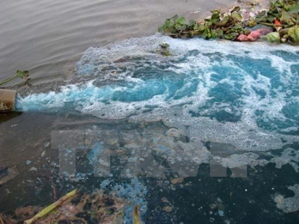 Ảnh minh họa của Thông tấn xã Việt Nam. Ảnh minh họa của Thông tấn xã Việt Nam.