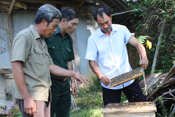 Cựu chiến binh làm kinh tế giỏi. Ảnh minh họa đăng trên báo Tuyên Quang.