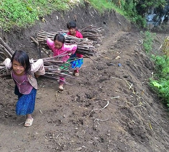 Trẻ em ở vùng cao, ngoài chuyện đến trường còn phải đi làm rất vất vả. Nhiều khi thầy cô còn phải đến tận nhà vận động các em tới trường. Đây là hình ảnh những em nhỏ lao động giúp gia đình. Ảnh: Cô giáo Trương Thị Nga Trẻ em ở vùng cao, ngoài chuyện đến trường còn phải đi làm rất vất vả. Nhiều khi thầy cô còn phải đến tận nhà vận động các em tới trường. Đây là hình ảnh những em nhỏ lao động giúp gia đình. Ảnh: Cô giáo Trương Thị Nga