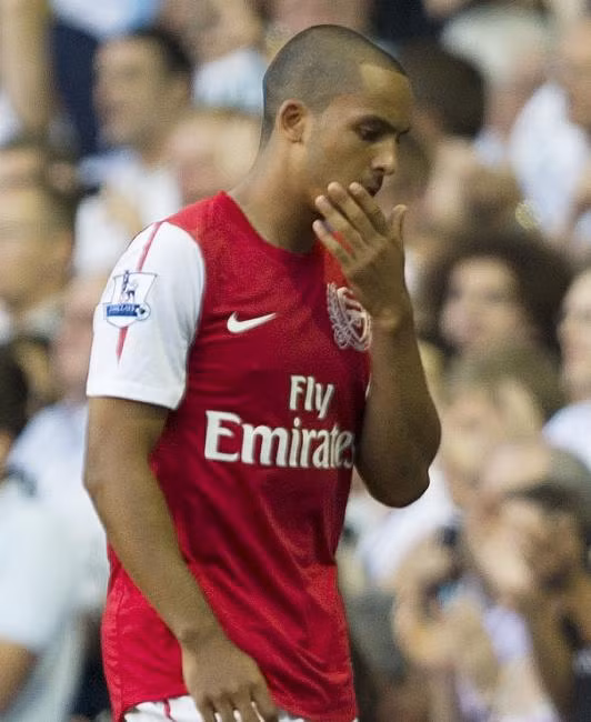 Theo Walcott thất vọng vì quyết định ra đi của Robin van Persie