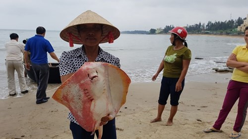 Vụ xả thải trái phép của Formosa gây ra thiệt hại lớn cho ngư dân các tỉnh miền Trung. ảnh: Báo Nhân dân. Vụ xả thải trái phép của Formosa gây ra thiệt hại lớn cho ngư dân các tỉnh miền Trung. ảnh: Báo Nhân dân.