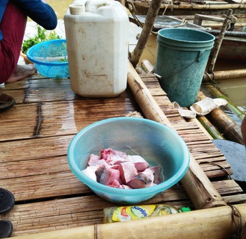 Sản phẩm của những lần đi đánh bắt cá là những con cá lăng có cân nặng khoảng 1kg. Ảnh: Xuân Quang.