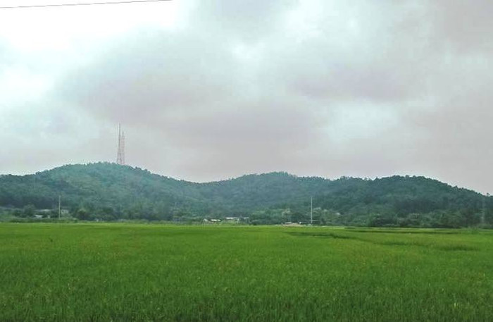 Hơn 300 hộ dân mất kế sinh nhai vì chính quyền lấy đất rừng không đền bù (ảnh: Thụy Du). Hơn 300 hộ dân mất kế sinh nhai vì chính quyền lấy đất rừng không đền bù (ảnh: Thụy Du).