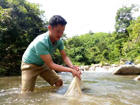 ...Còn ban ngày, cá, tôm thường chui vào các hộc đá, rễ cây ven suối để tránh nắng...