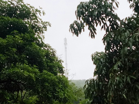 Cột sóng Viettel được dựng cách đây khá lâu ở bản Cò Cài nhưng chưa một lần hoạt động. Ảnh: Hữu Chí. Cột sóng Viettel được dựng cách đây khá lâu ở bản Cò Cài nhưng chưa một lần hoạt động. Ảnh: Hữu Chí.