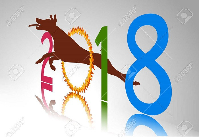 Năm Tuất nói chuyện chó (Ảnh minh họa: 123RF). Năm Tuất nói chuyện chó (Ảnh minh họa: 123RF).