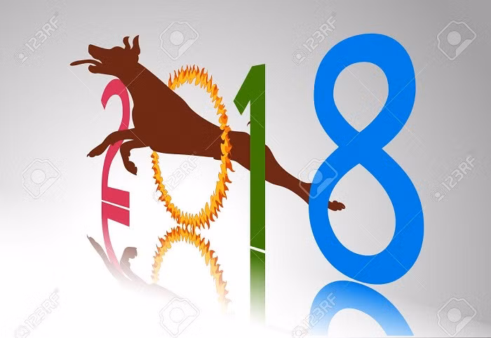 Năm Tuất nói chuyện chó (Ảnh minh họa: 123RF). Năm Tuất nói chuyện chó (Ảnh minh họa: 123RF).