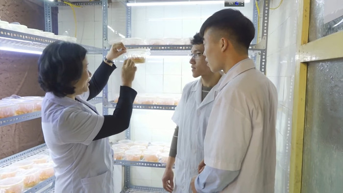Phó Giáo sư, Tiến sĩ Tạ Thị Thu Thuỷ hướng dẫn sinh viên (Ảnh: NTCC) PGS.TS Tạ Thị Thu Thuỷ - Viện trưởng Viện CNSH - CNTP hướng dẫn sinh viên thực hành.jpg