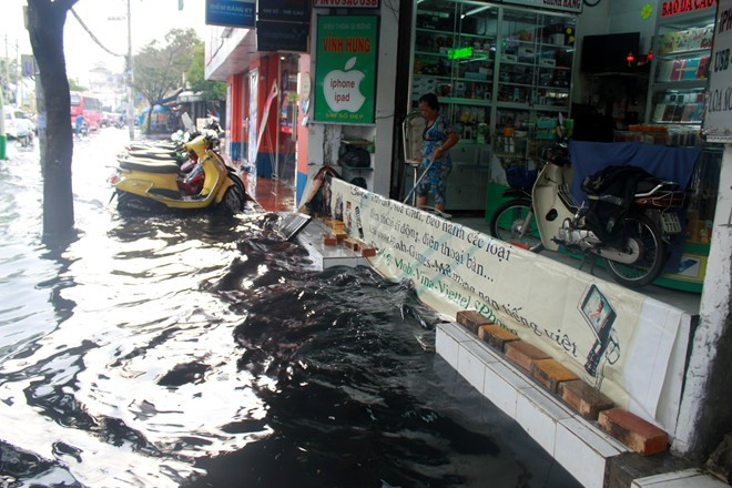 Mỗi nhà có một con đê. Ảnh: TL Mỗi nhà có một con đê. Ảnh: TL