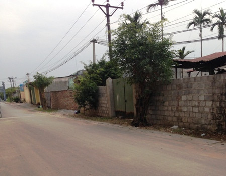 Ước tính diện tích đất nông nghiệp bị sử dụng sai mục đích lên tới cả nghìn m2 Ước tính diện tích đất nông nghiệp bị sử dụng sai mục đích lên tới cả nghìn m2