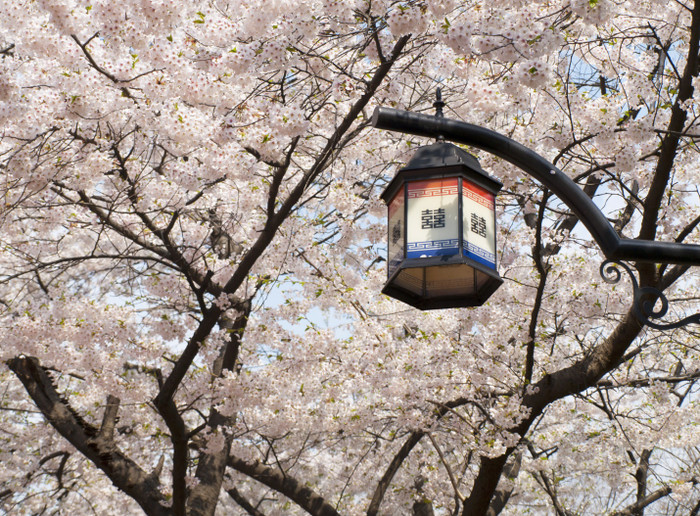 Vietravel có tới 9 hành trình tour du lịch Hàn Quốc, chi phí dao động từ 11,9 đến 21,9 triệu đồng. Vietravel có tới 9 hành trình tour du lịch Hàn Quốc, chi phí dao động từ 11,9 đến 21,9 triệu đồng.