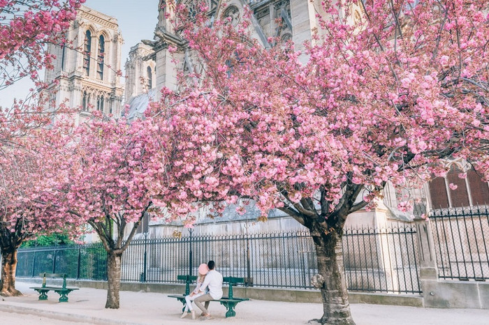 Tour du lịch Pháp. Tour du lịch Pháp.