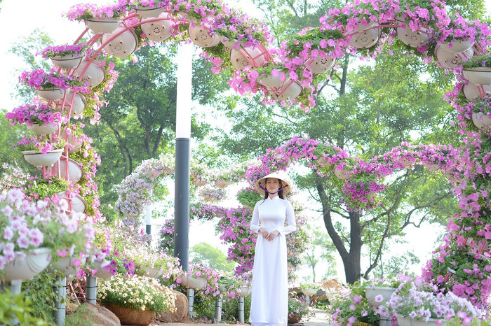 Hoa tươi tạo nên cảnh quan rực rỡ sống động trên đỉnh Bà Đen. Hoa tươi tạo nên cảnh quan rực rỡ sống động trên đỉnh Bà Đen.