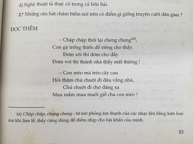 Con mèo trèo cây cau (Ảnh minh họa: tác giả cung cấp).