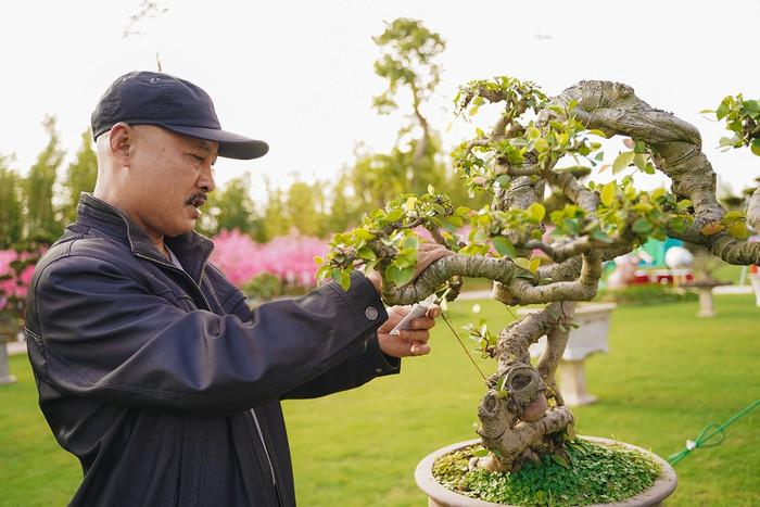 Cư dân Vinhomes thích thú tìm hiểu các tác phẩm bonsai được trưng bày.