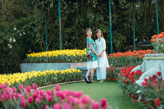 Lễ hội hoa tulip Bà Nà. Lễ hội hoa tulip Bà Nà.