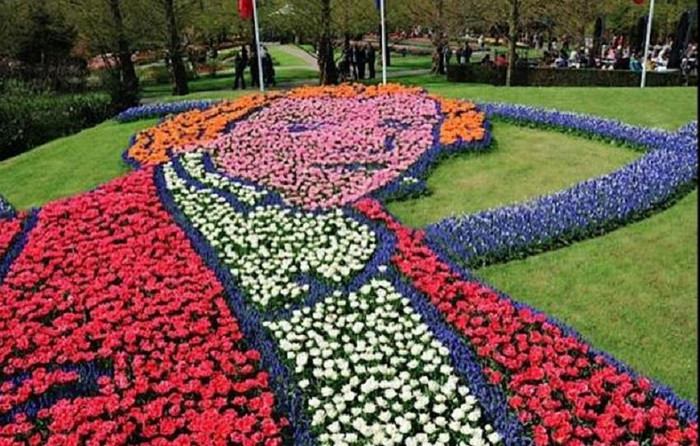 Kiến trúc sư trưởng thiết kế Keukenhof cũng được thể hiện qua nghệ thuật trồng hoa. Kiến trúc sư trưởng thiết kế Keukenhof cũng được thể hiện qua nghệ thuật trồng hoa.