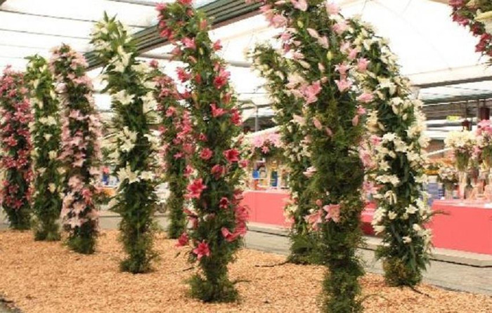 Tác phẩm trong Pavillon thu hút du khách nhiều nhất. Tác phẩm trong Pavillon thu hút du khách nhiều nhất.