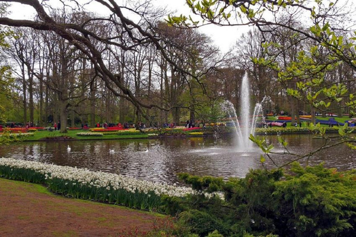 Một hồ nước trong Keukenhof. Một hồ nước trong Keukenhof.